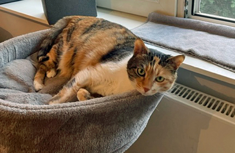 MS Sophie1