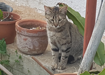 Püppi1