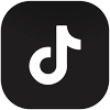 TikTok Icon